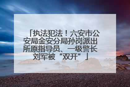 执法犯法！六安市公安局金安分局孙岗派出所原指导员、一级警长刘军被“双开”