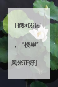 抱团发展，“楼里”风光正好