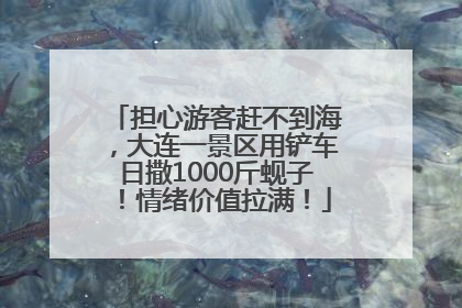 担心游客赶不到海，大连一景区用铲车日撒1000斤蚬子！情绪价值拉满！