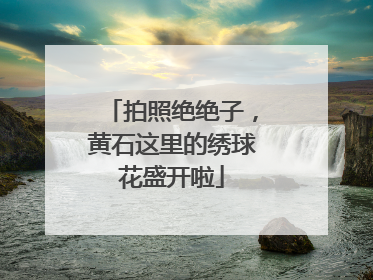 拍照绝绝子，黄石这里的绣球花盛开啦