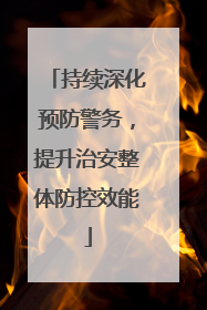持续深化预防警务，提升治安整体防控效能
