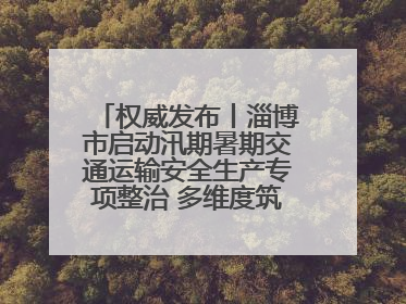 权威发布丨淄博市启动汛期暑期交通运输安全生产专项整治 多维度筑牢安全防线