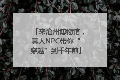 来沧州博物馆，真人NPC带你“穿越”到千年前