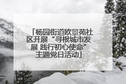 杨园街道欧景苑社区开展“寻根城市发展 践行初心使命”主题党日活动