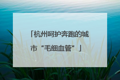 杭州呵护奔跑的城市“毛细血管”