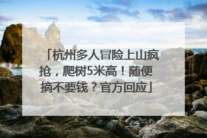 杭州多人冒险上山疯抢，爬树5米高！随便摘不要钱？官方回应