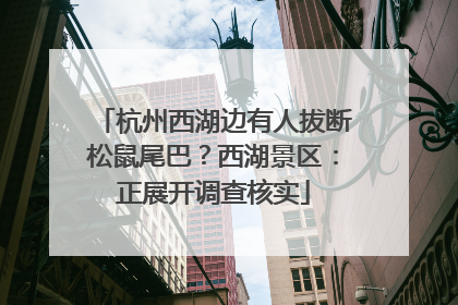 杭州西湖边有人拔断松鼠尾巴？西湖景区：正展开调查核实
