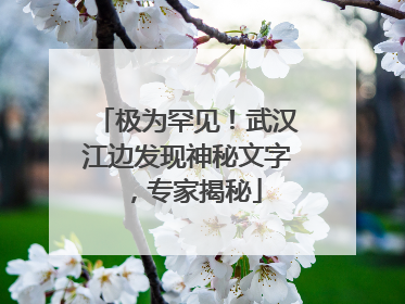 极为罕见！武汉江边发现神秘文字，专家揭秘