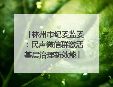 林州市纪委监委：民声微信群激活基层治理新效能