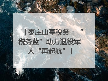 枣庄山亭税务：“税务蓝”助力退役军人“再起航”