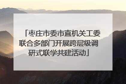 枣庄市委市直机关工委联合多部门开展跨层级调研式联学共建活动