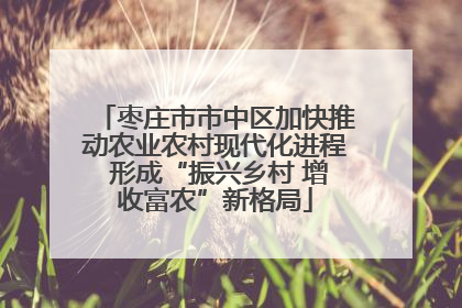 枣庄市市中区加快推动农业农村现代化进程 形成“振兴乡村 增收富农”新格局