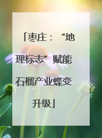 枣庄：“地理标志”赋能石榴产业蝶变升级
