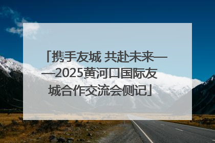 携手友城 共赴未来——2025黄河口国际友城合作交流会侧记