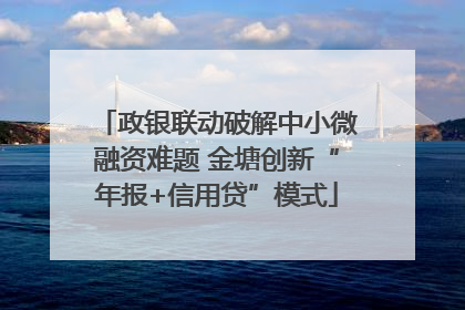 政银联动破解中小微融资难题 金塘创新“年报+信用贷”模式