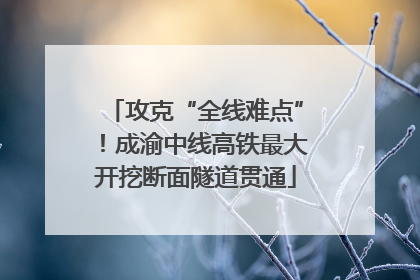 攻克“全线难点”！成渝中线高铁最大开挖断面隧道贯通