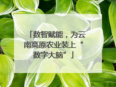 数智赋能，为云南高原农业装上“数字大脑”