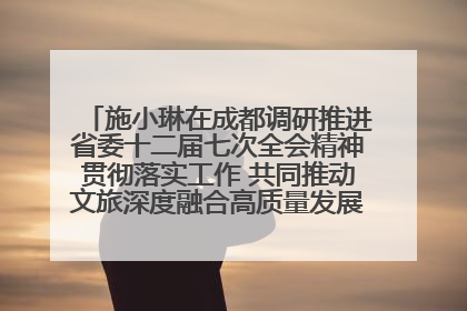 施小琳在成都调研推进省委十二届七次全会精神贯彻落实工作 共同推动文旅深度融合高质量发展 加快打造支柱产业民生产业幸福产业