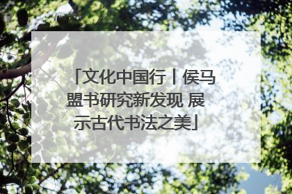 文化中国行丨侯马盟书研究新发现 展示古代书法之美