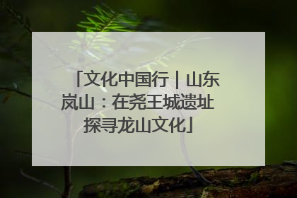文化中国行｜山东岚山：在尧王城遗址探寻龙山文化