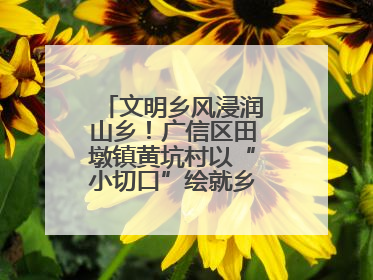 文明乡风浸润山乡！广信区田墩镇黄坑村以“小切口”绘就乡村振兴大图景