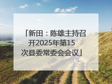 新田：陈雄主持召开2025年第15次县委常委会会议