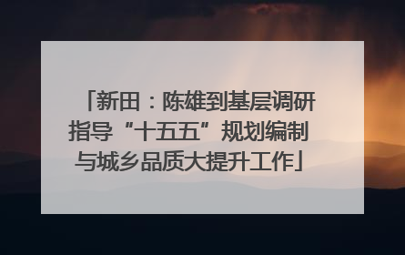新田：陈雄到基层调研指导“十五五”规划编制与城乡品质大提升工作