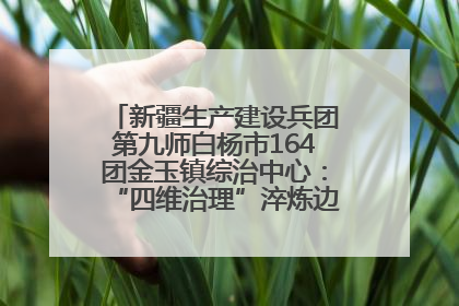 新疆生产建设兵团第九师白杨市164团金玉镇综治中心：“四维治理”淬炼边疆“枫桥样本”