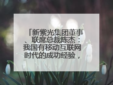 新紫光集团董事、联席总裁陈杰：我国有移动互联网时代的成功经验，最有能力做好AI应用创新