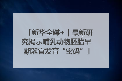 新华全媒+｜最新研究揭示哺乳动物胚胎早期器官发育“密码”