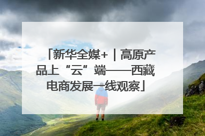 新华全媒+｜高原产品上“云”端——西藏电商发展一线观察