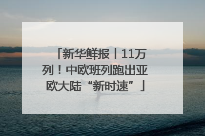 新华鲜报丨11万列！中欧班列跑出亚欧大陆“新时速”