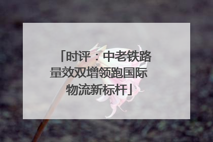 时评：中老铁路量效双增领跑国际物流新标杆