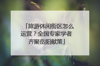 旅游休闲街区怎么运营？全国专家学者齐聚岳阳献策