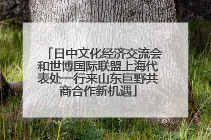 日中文化经济交流会和世博国际联盟上海代表处一行来山东巨野共商合作新机遇