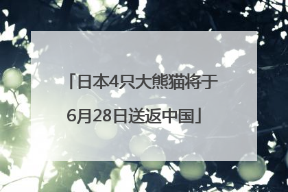 日本4只大熊猫将于6月28日送返中国