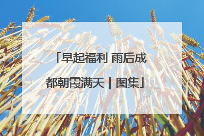 早起福利 雨后成都朝霞满天｜图集