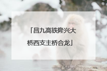 昌九高铁隆兴大桥西支主桥合龙