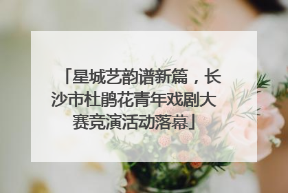 星城艺韵谱新篇，长沙市杜鹃花青年戏剧大赛竞演活动落幕