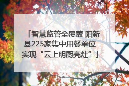 智慧监管全覆盖 阳新县225家集中用餐单位实现“云上明厨亮灶”