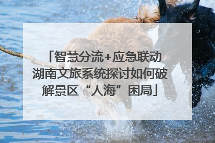智慧分流+应急联动 湖南文旅系统探讨如何破解景区“人海”困局