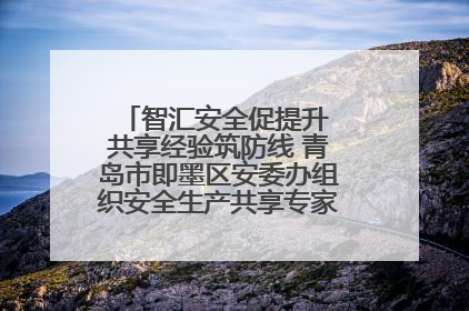 智汇安全促提升 共享经验筑防线 青岛市即墨区安委办组织安全生产共享专家现场观摩学习活动