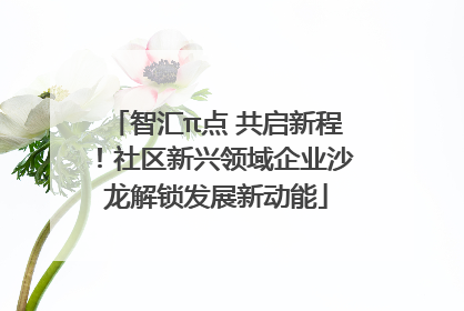 智汇π点 共启新程！社区新兴领域企业沙龙解锁发展新动能