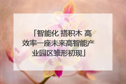 智能化 搭积木 高效率一座未来高智能产业园区雏形初现