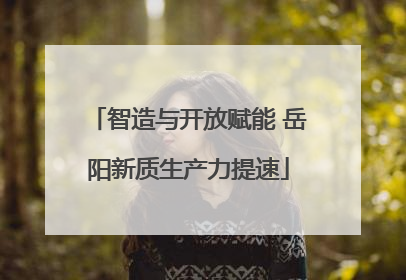 智造与开放赋能 岳阳新质生产力提速