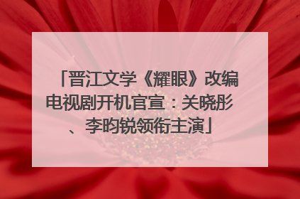 晋江文学《耀眼》改编电视剧开机官宣：关晓彤、李昀锐领衔主演