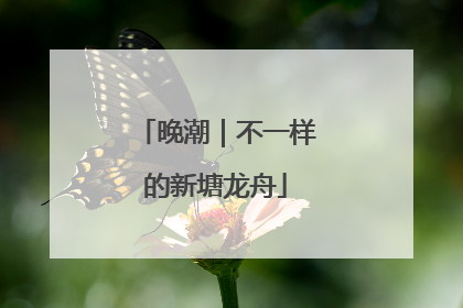 晚潮｜不一样的新塘龙舟