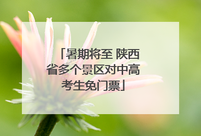 暑期将至 陕西省多个景区对中高考生免门票
