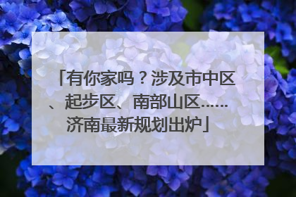 有你家吗？涉及市中区、起步区、南部山区……济南最新规划出炉