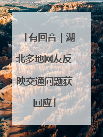 有回音｜湖北多地网友反映交通问题获回应